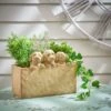 Set Of 3 Cockapoo Planters 1 Set Of 3 Cockapoo Planters -Gardens and Outdoors 30798149