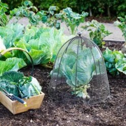 Outdoor Wired Plant Protector -Gardens and Outdoors 30849544