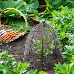 Outdoor Wired Plant Protector -Gardens and Outdoors 30849545