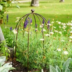 Outdoor Plant Support 18 Outdoor Plant Support -Gardens and Outdoors 30849553