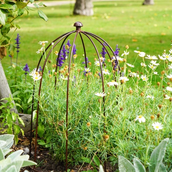 Outdoor Plant Support 7 Outdoor Plant Support - Image 5