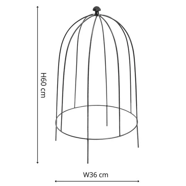 Outdoor Plant Support 5 Outdoor Plant Support - Image 3