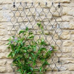 Outdoor Honeycomb Trellis -Gardens and Outdoors 30849560