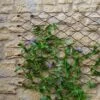 Outdoor Honeycomb Trellis 2 Outdoor Honeycomb Trellis -Gardens and Outdoors 30849561