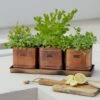 Set Of 3 Herb Hampton Outdoor Planters With Tray 2 Set Of 3 Herb Hampton Outdoor Planters With Tray -Gardens and Outdoors 30849572