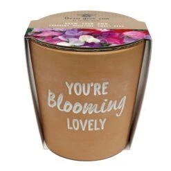 Taylor's Bulbs You're Blooming Lovely Terracotta Plant Pot -Gardens and Outdoors 30866043 alt03