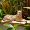 Leopard Indoor Outdoor Ornament -Gardens and Outdoors 30866987