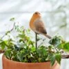 Robin Garden Stake -Gardens and Outdoors 30866988