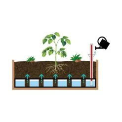 VegTrug Medium Classic Self Watering Kit 9 VegTrug Medium Classic Self Watering Kit -Gardens and Outdoors 30890313 alt03