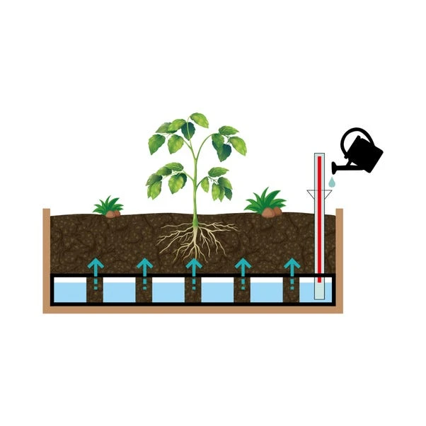 VegTrug Medium Classic Self Watering Kit 6 VegTrug Medium Classic Self Watering Kit - Image 4