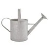 Fallen Fruits 8.7 Litre Old Zinc Watering Can -Gardens and Outdoors 30900095
