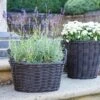 Ivyline Polyrattan Lined Basket Plant Pot -Gardens and Outdoors 30911911