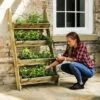 Ladder Planter 2 Ladder Planter -Gardens and Outdoors 30916500