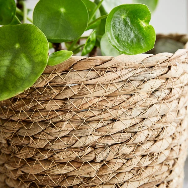 Set Of 3 Woven Plant Pots 4 Set Of 3 Woven Plant Pots - Image 2