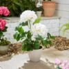 Artificial Hydrangea In Plant Pot -Gardens and Outdoors 30925750