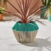 Two Tone Woven Plant Pot