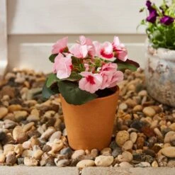 Artificial Geranium In Plant Pot -Gardens and Outdoors 30926355