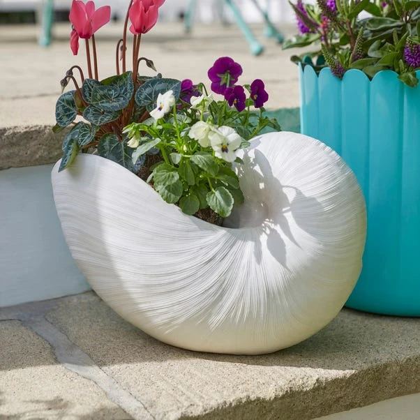 Resin Off White Nautilus Shell Plant Pot 3 Resin Off White Nautilus Shell Plant Pot