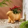 Resin Capybara Plant Pot -Gardens and Outdoors 30927989
