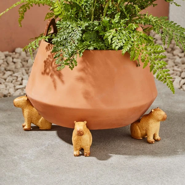 Set Of 3 Resin Capybara Pot Feet 3 Set Of 3 Resin Capybara Pot Feet