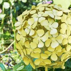 Sophie Robinson Giant Allium Garden Stake -Gardens and Outdoors 30933368 alt01