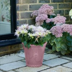 Sophie Robinson Small Lilac Plant Pot