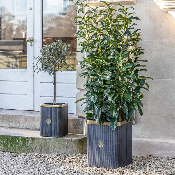 Set Of 2 Kew Outdoor Indoor Antique Lead Richmond Plant Pots 3 Set Of 2 Kew Outdoor Indoor Antique Lead Richmond Plant Pots