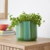 Elements Striped Ceramic Plant Pot 2 Elements Striped Ceramic Plant Pot -Gardens and Outdoors 30943041
