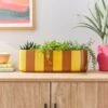 Elements Striped Ceramic Windowsill Plant Pot -Gardens and Outdoors 30943051