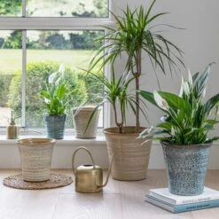 Vallo Terracotta Tapered Plant Pot -Gardens and Outdoors 30976791 alt09