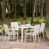 Pacific Lifestyle Aruba Outdoor 4 Seater Dining Set 2 Pacific Lifestyle Aruba Outdoor 4 Seater Dining Set -Gardens and Outdoors 30984387